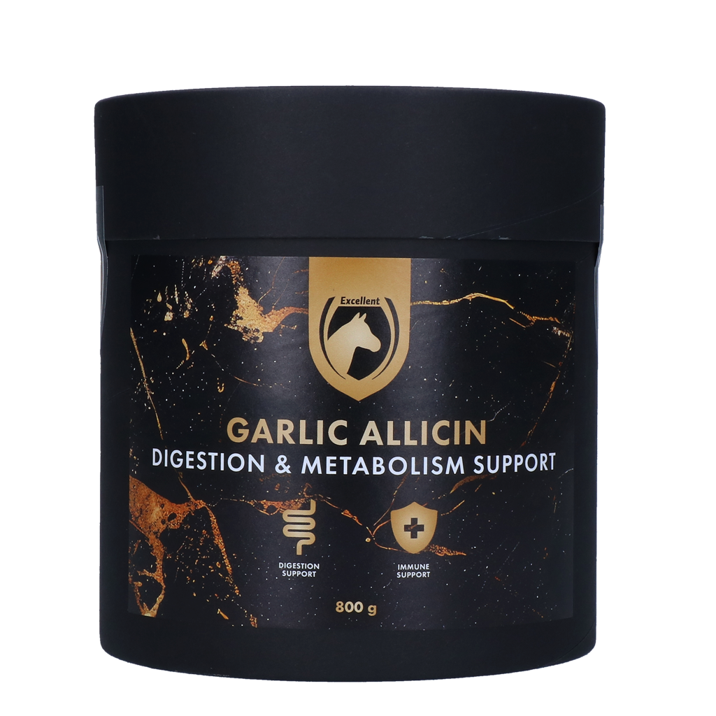 Excellent Horse Garlic Allicin Powder 800 g