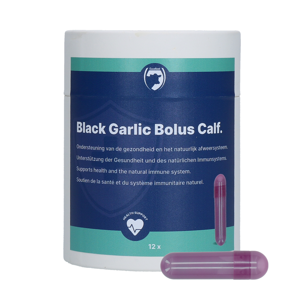 Excellent Black Garlic Bolus Kalb