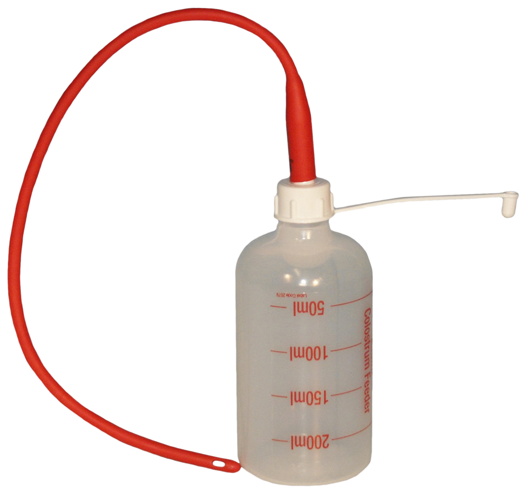 Lämmersonde 40 cm + Flasche 250 ml