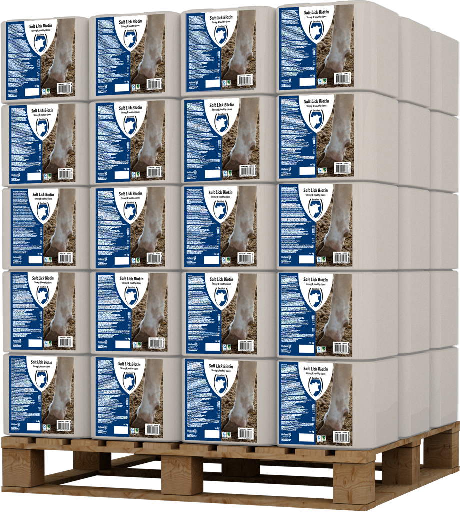 Excellent Leckstein Biotin 10 kg