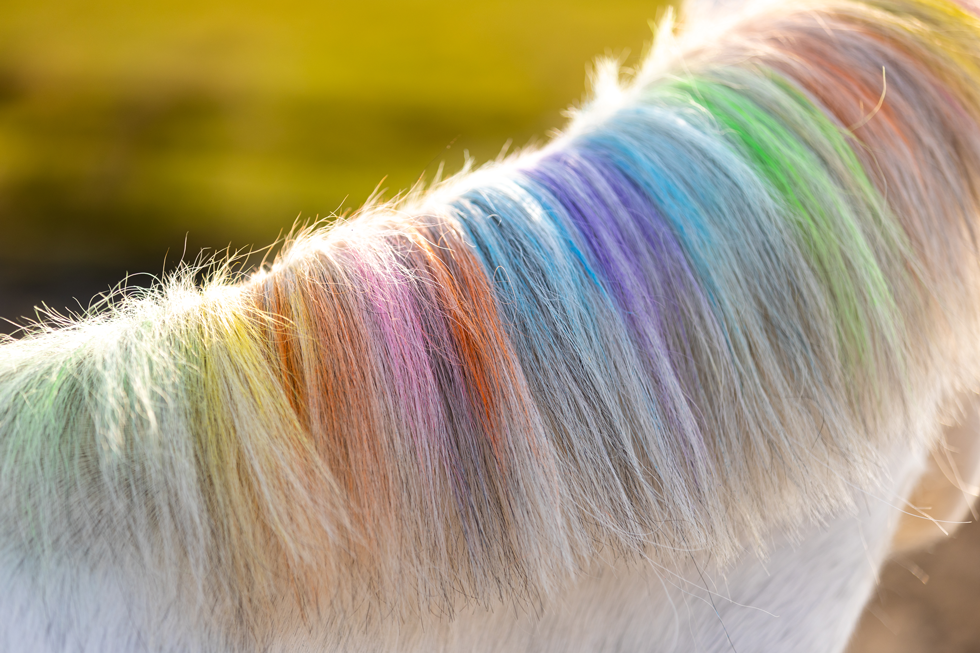 Lucky Horse Unicorn Regenbogenfarbige Kreide