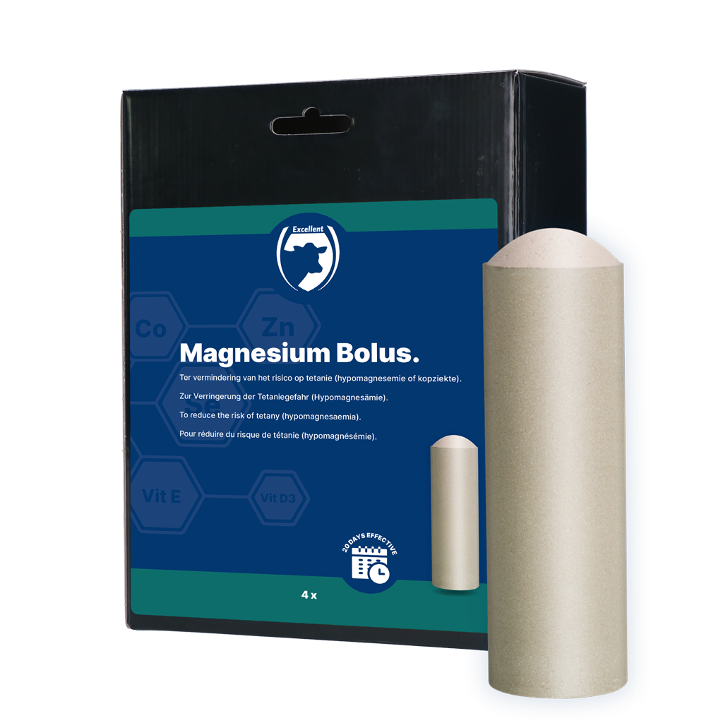 Excellent Magnesium Bolus 4 x 180 g