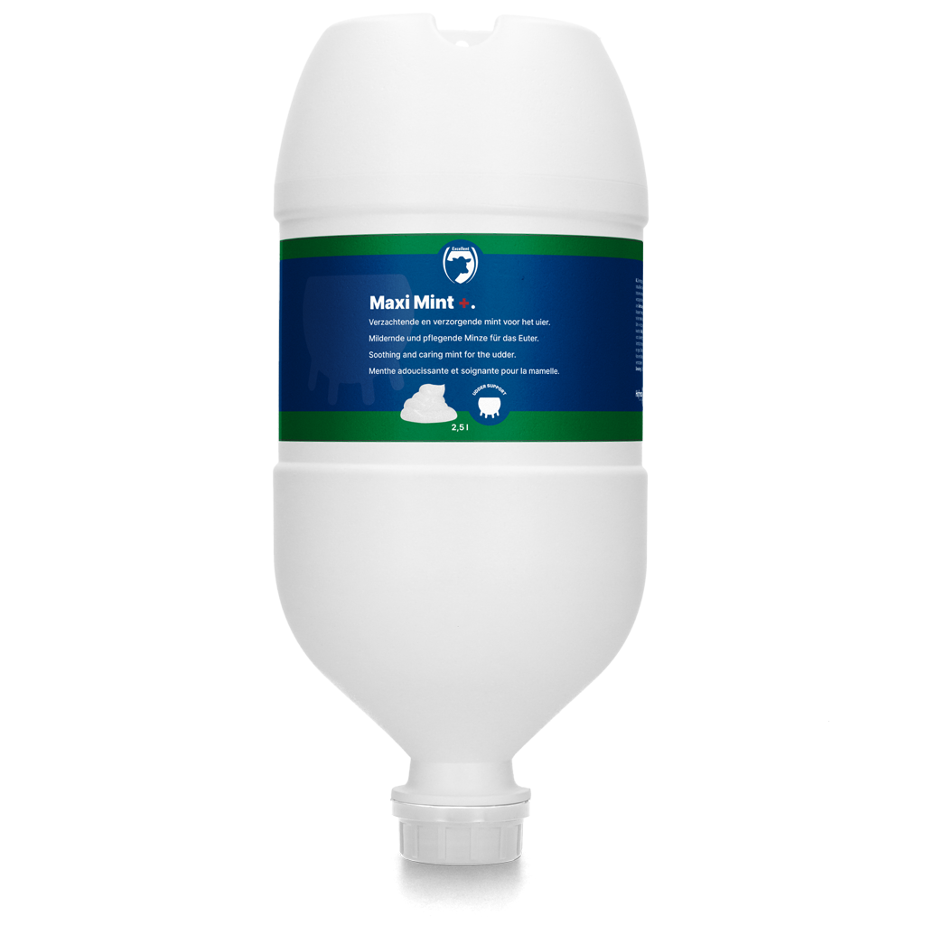 Excellent Maxi Mint+ Hängetube 2,5 l