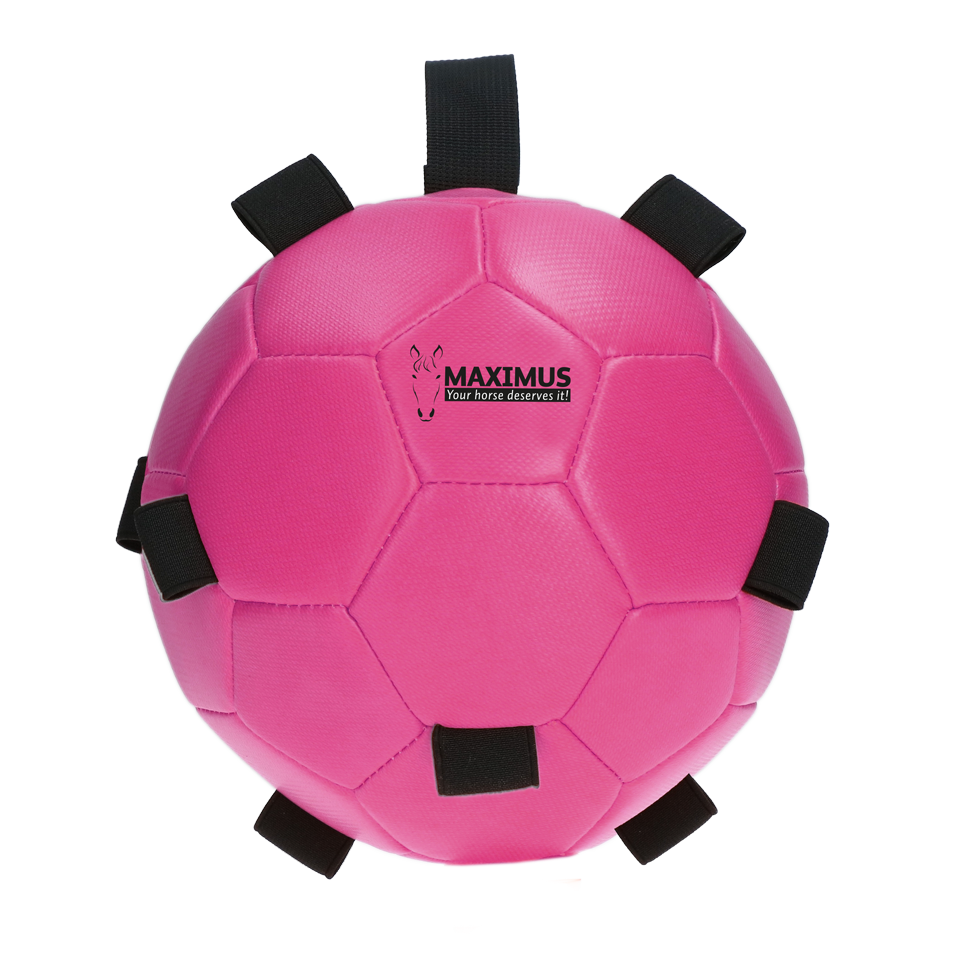Excellent Horse Fun Play Ball Rosa