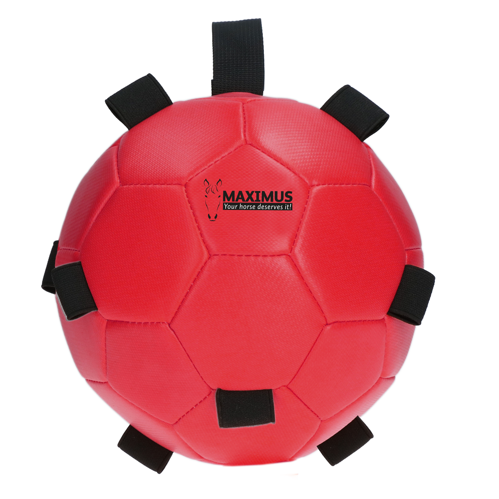 Excellent Horse Fun Play Ball Rot