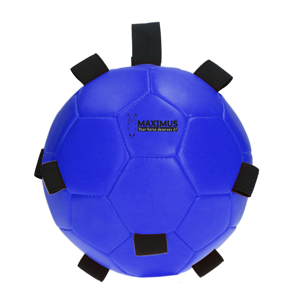 Excellent Horse Fun Play Ball Blau
