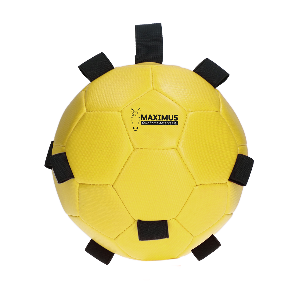 Excellent Horse Fun Play Ball Gelb
