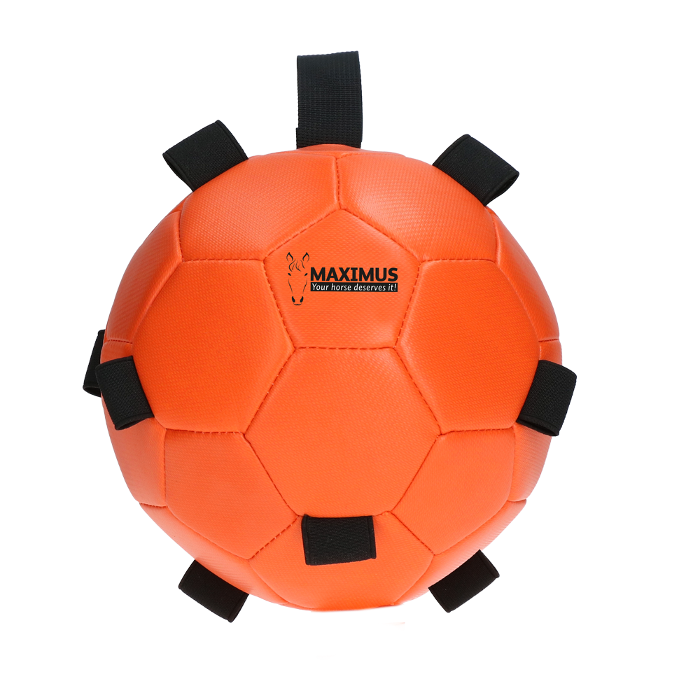 Excellent Horse Fun Play Ball Orange