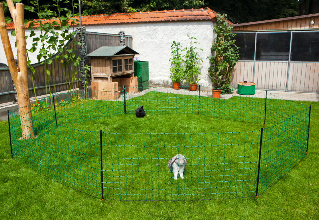 Kaninchennetz 65 cm, Einzelspitze 12 m.
