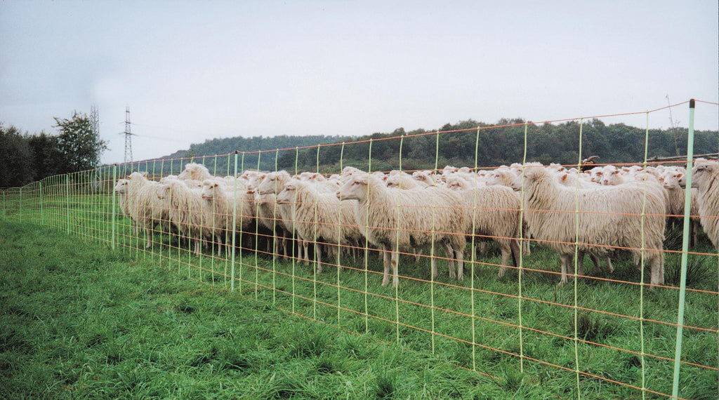 Euro-Netz Combi 106 cm Doppelspitze