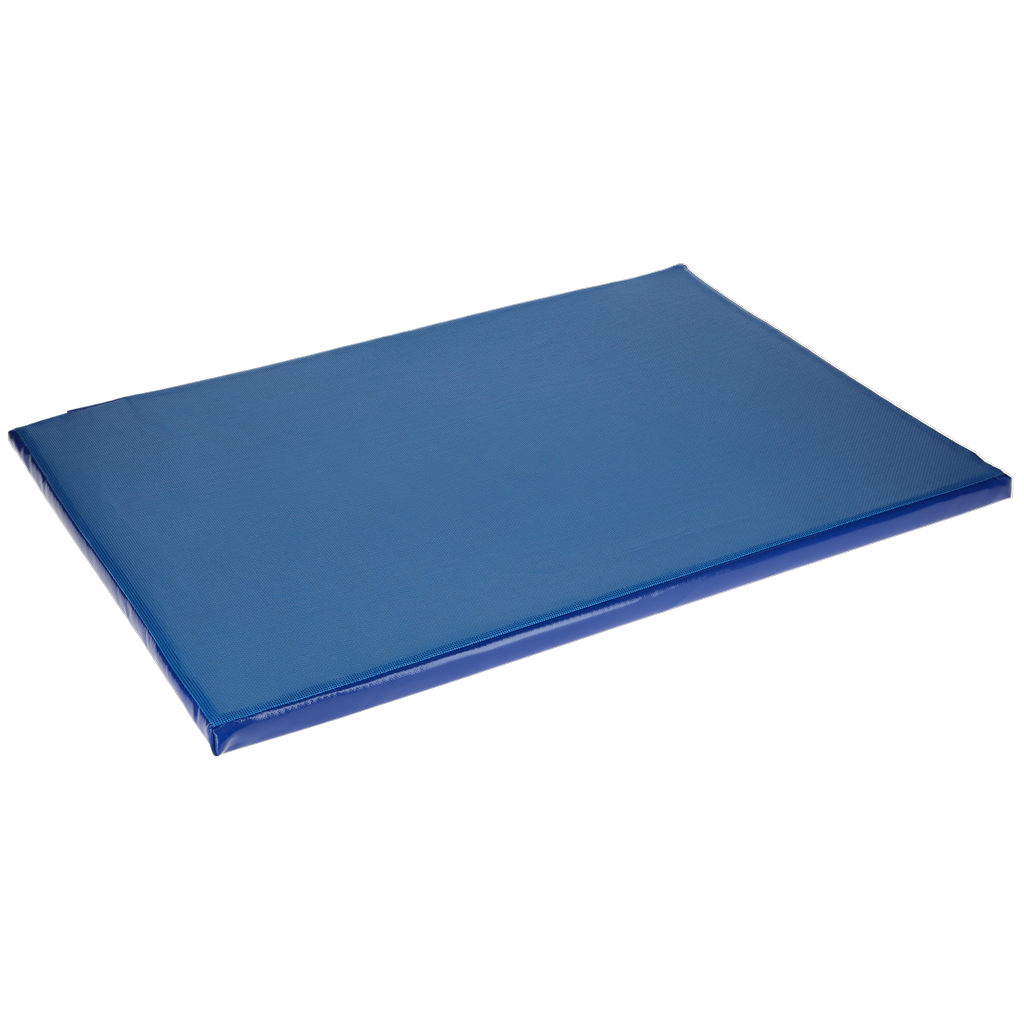 Desinfektionsmatte 85x60x3,5 cm