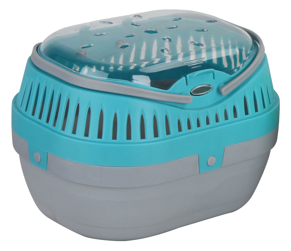 Pawise Small Pet Carrier M