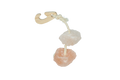 Pawise Himalayan Salt On A Rope