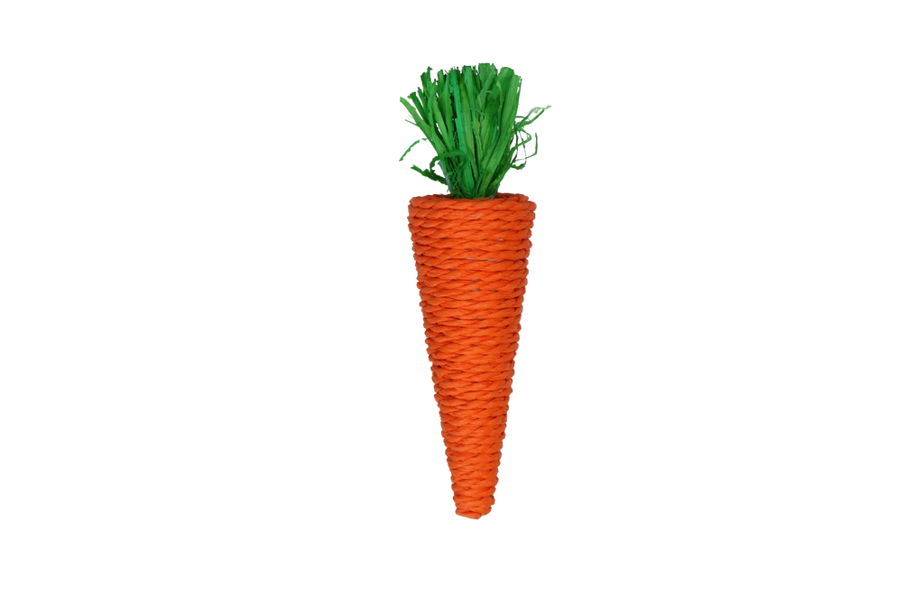 Pawise Play & Chew Carrot