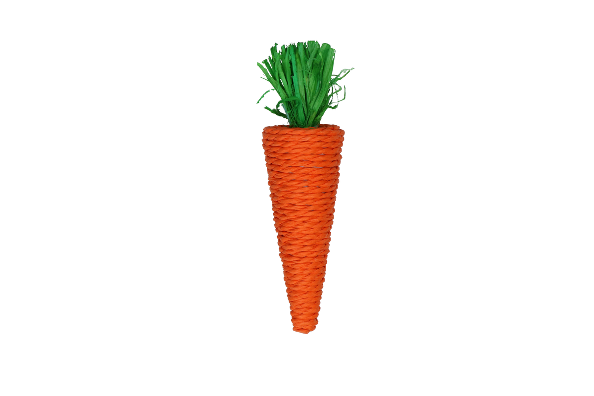Pawise Play & Chew Carrot