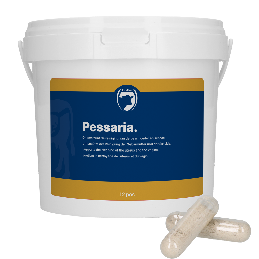 Excellent Pessaria Kapsel 12 St.