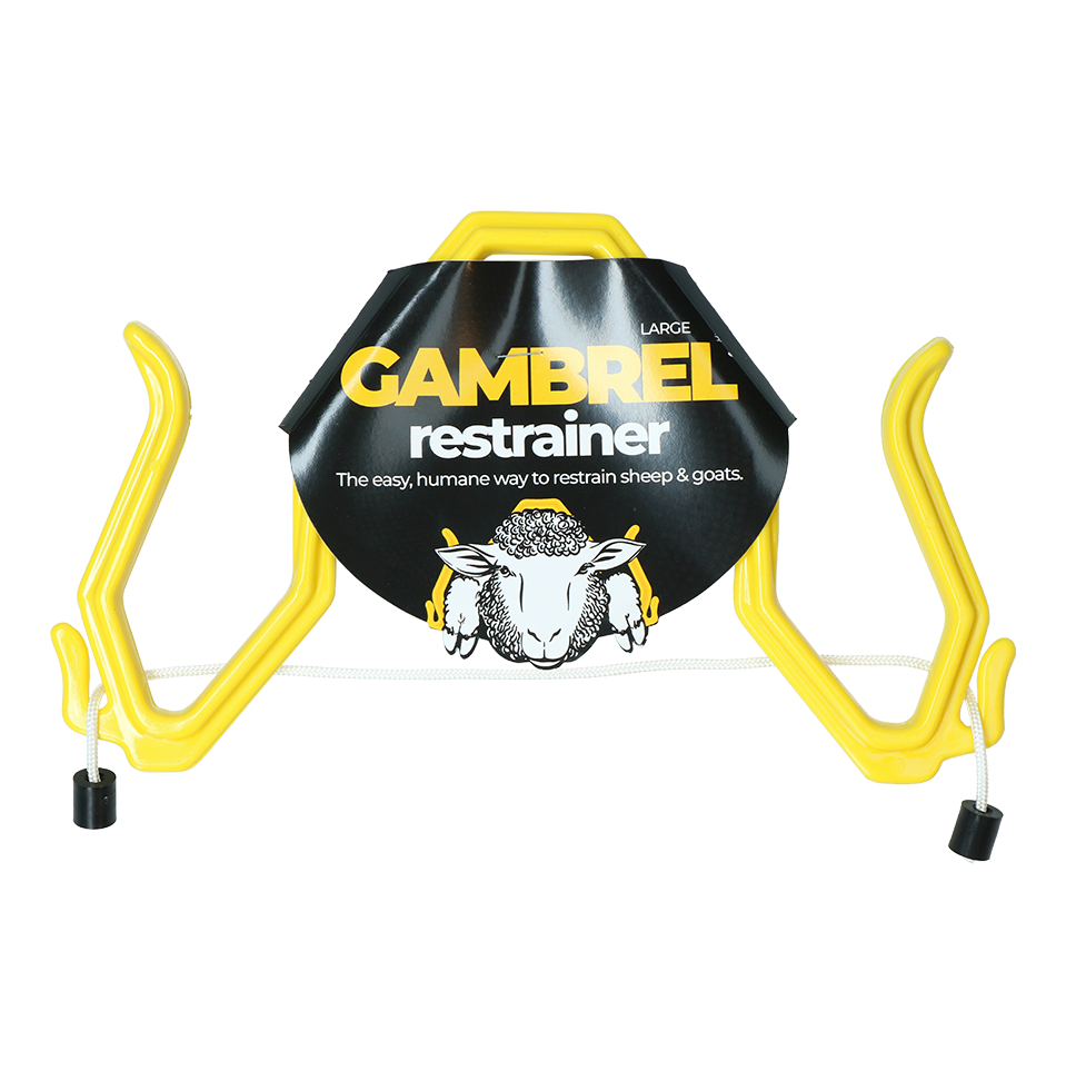 Fixierung für Schafe Gambrel Restrainer L