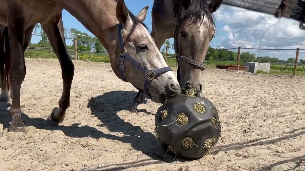 Excellent Horse Feed & Play Ball Grün