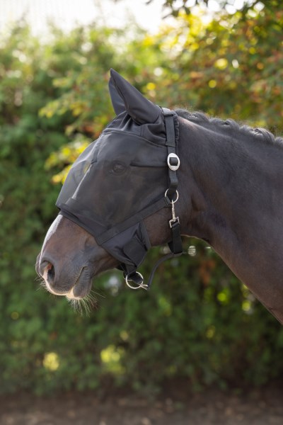 Halfter mit integrierter Fliegenschutzmaske Pony