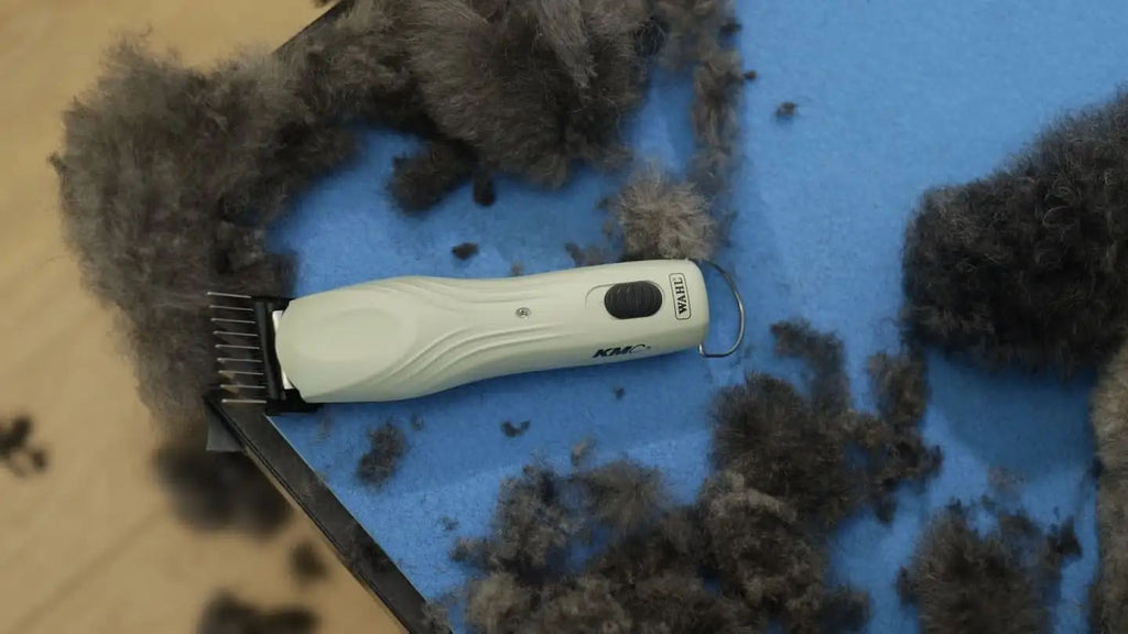 Wahl KMC+ Kabel-/Kabelloser Trimmer