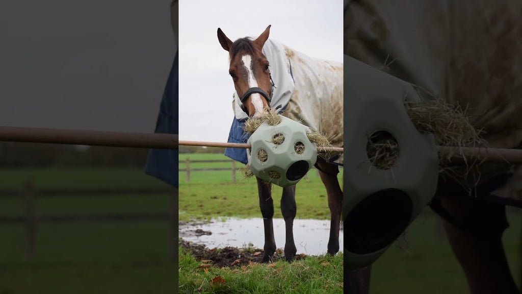 Excellent Horse Feed & Play Ball Blau