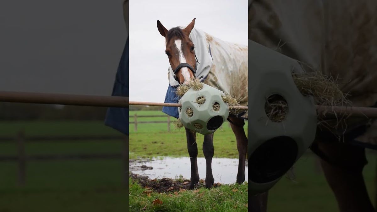 Excellent Horse Feed & Play Ball Schwarz