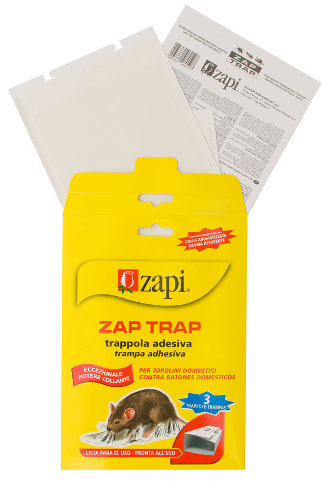 Zapi Zap Trap Leimfalle für Mäuse und Insekten 15x21 cm