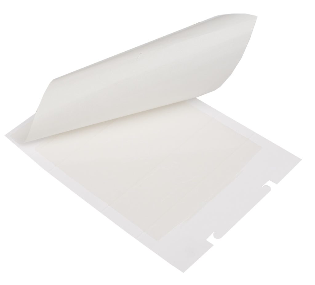 Zapi Zap Trap Leimfalle für Mäuse und Insekten 15x21 cm