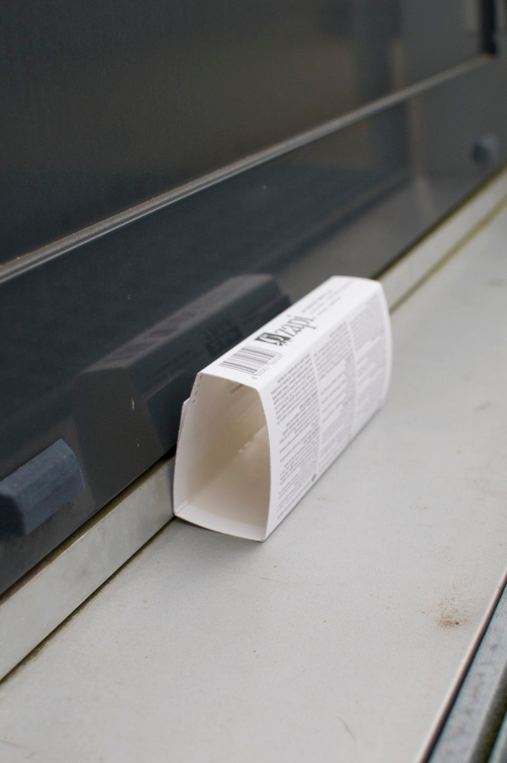 Zapi Zap Trap Leimfalle für Mäuse und Insekten 15x21 cm