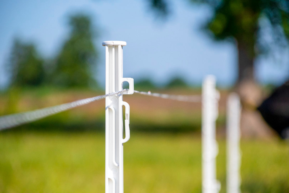 ZoneGuard Plus Zaundraht 3 mm 400 m
