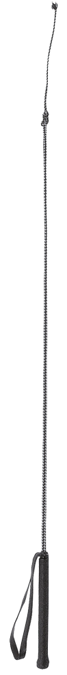 Reitgerte fiber 90cm schwarz