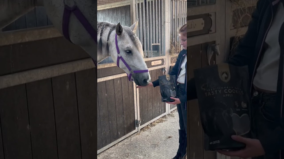 Excellent Horse Handgemachte Pferdekekse Apfel