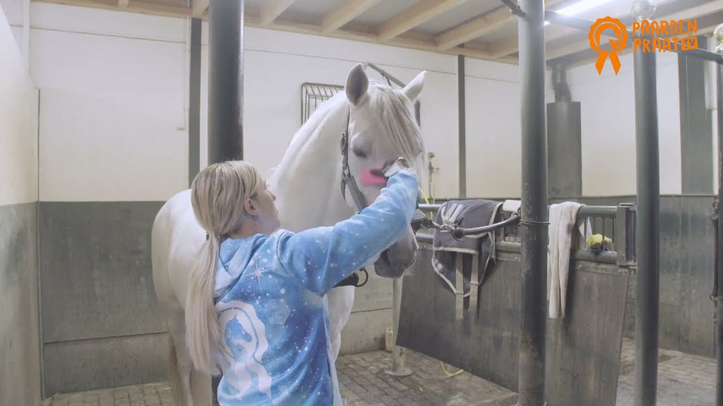 Paardenpraat Grooming Brush Rosa M