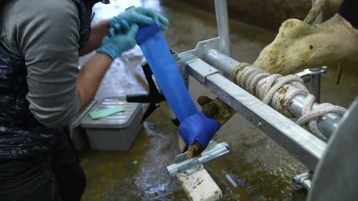 Easy Hoof Dry Pads