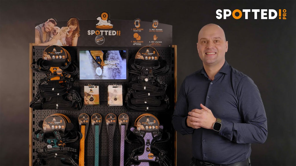 Package deal Spotted Pro! Geschirre und Leinen