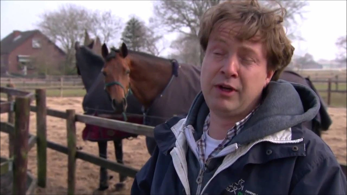 Jolly Ball Blau (Blaubeere)