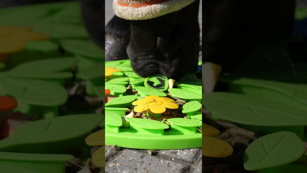 Excellent Horse Snuffle Mat Flower Power